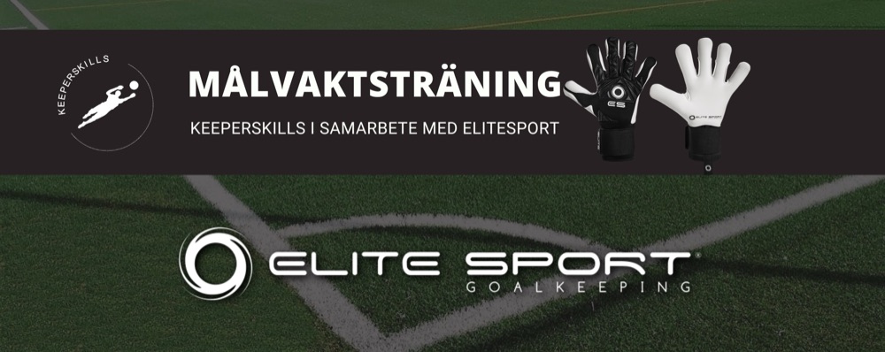 Målvaktsträning