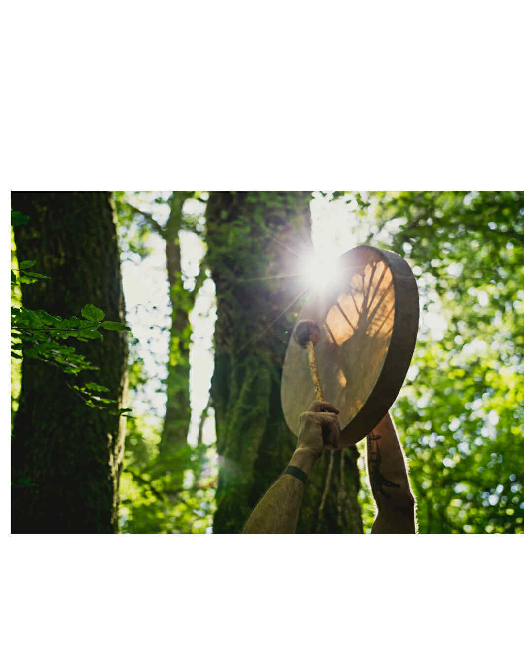 Prova på Evenemang med Fotografering