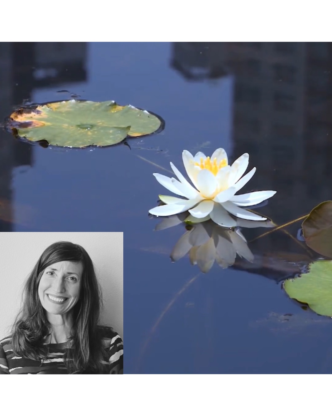 Meditation/yoga/breathwork