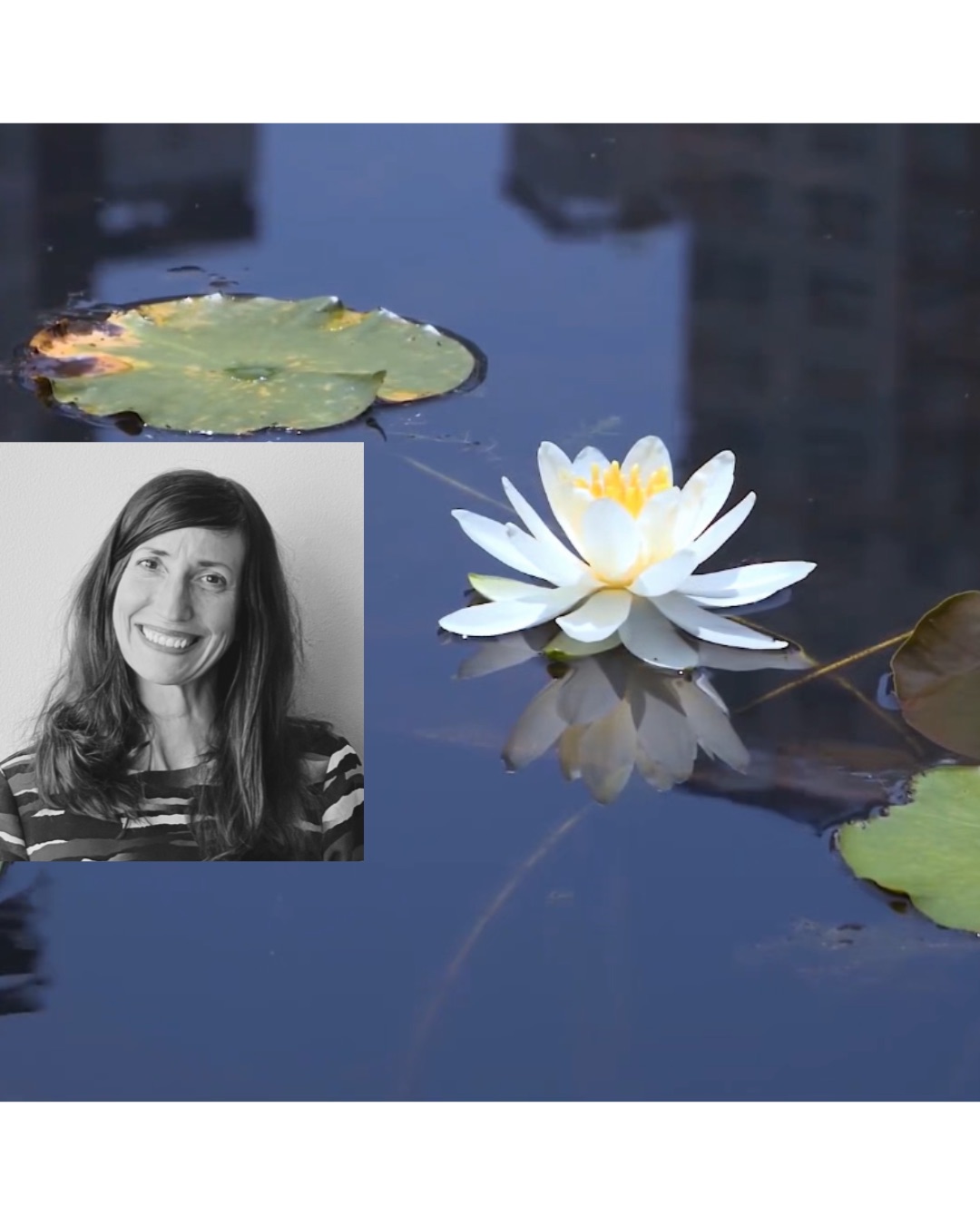 Meditation/yoga/breathwork
