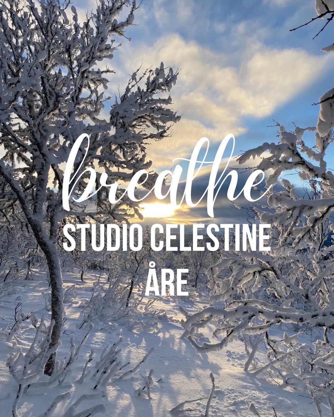 Breathwork (Neuroregulatory)