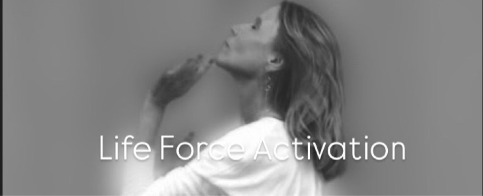 Life Force Activation, 2 feb 10-12