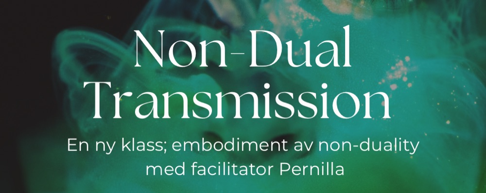 Non-Dual Transmission
