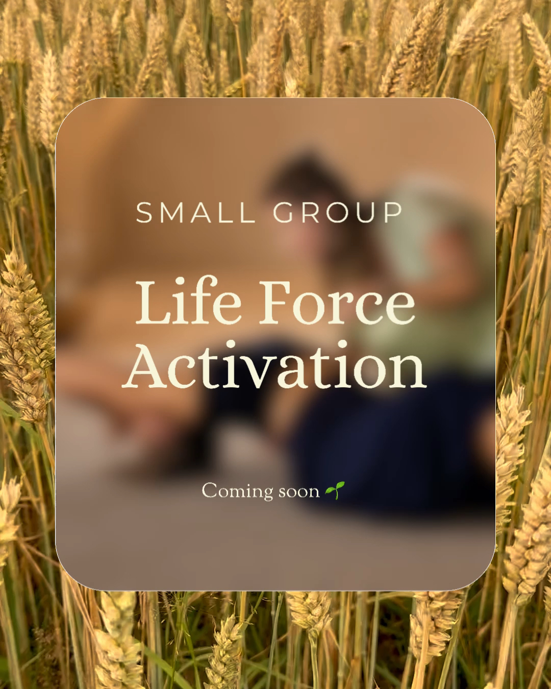 Small Group LFA | Life Force Activation 🌱
