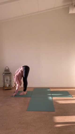 VINYASA 60