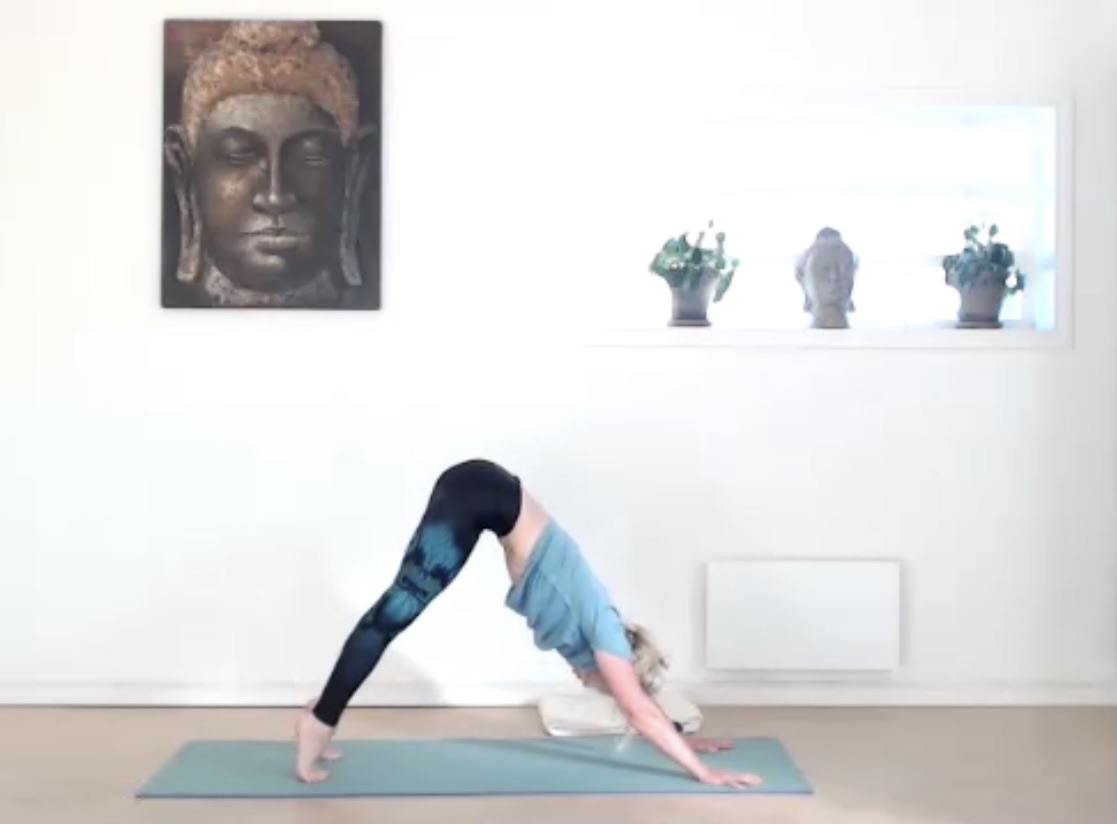VINYASA 60
