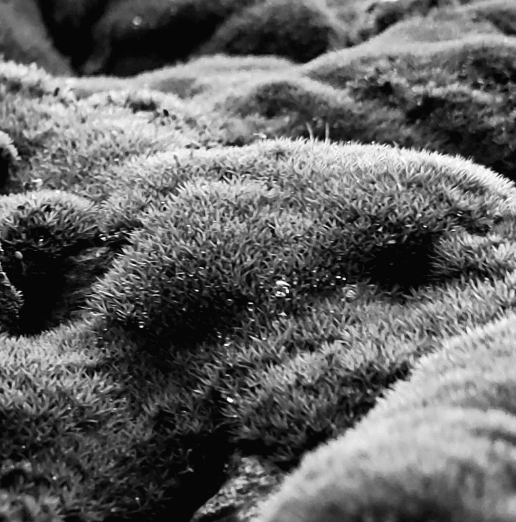 Boka undermålnings - klasser! Tisdagar 17.30-20 ojämn vecka