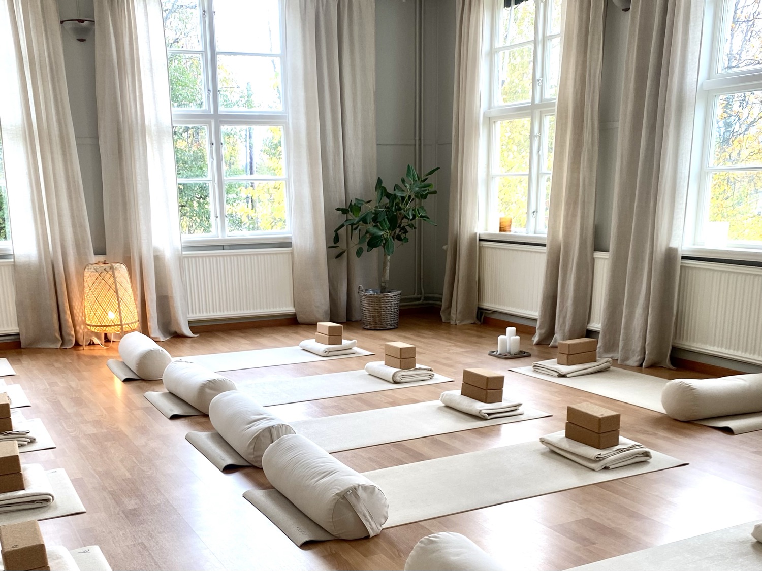 New Year's Vinyasa - Setting Intentions