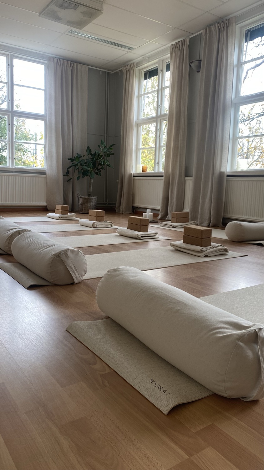 New Year's Vinyasa - Setting Intentions