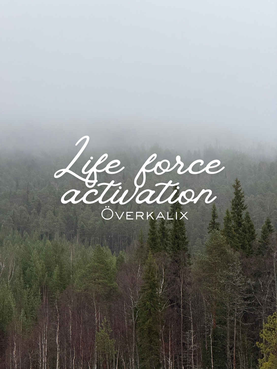 Life Force Activation - Överkalix
