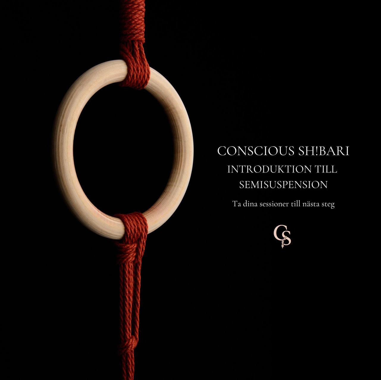 Shibari: Introduktion till semi-suspension 15/2 (MAN)