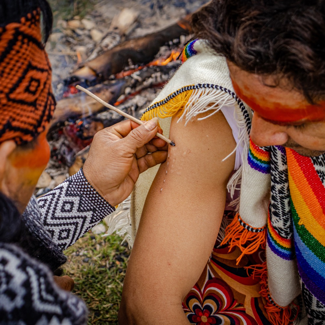 Kambo ceremony (private)