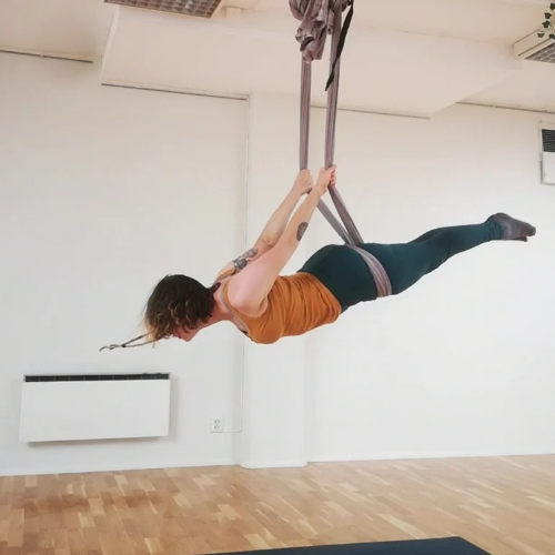 Aerial Yoga (all levels)