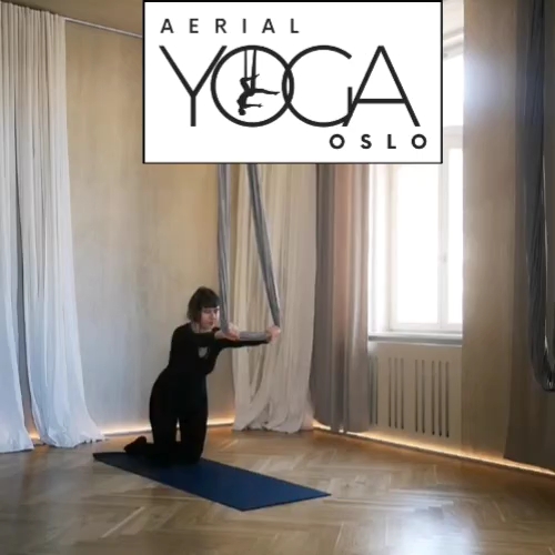 Aerial Yoga (all levels)