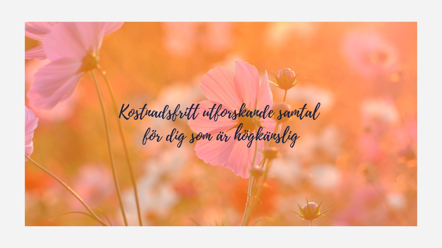 Kostnadsfritt utforskande samtal 30 min