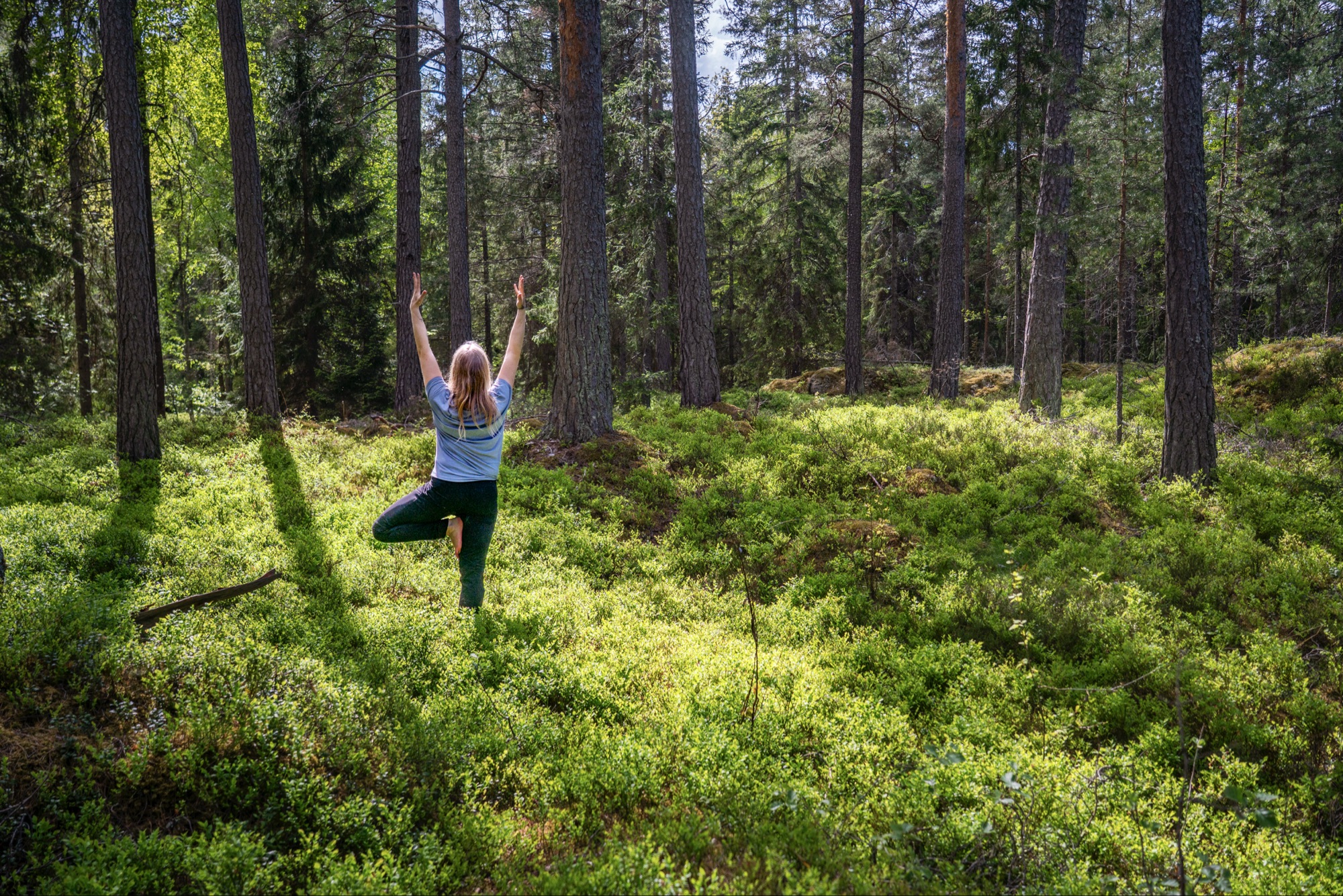 Skogsyoga - Söndagar i juni vid Skevik/Värmdö