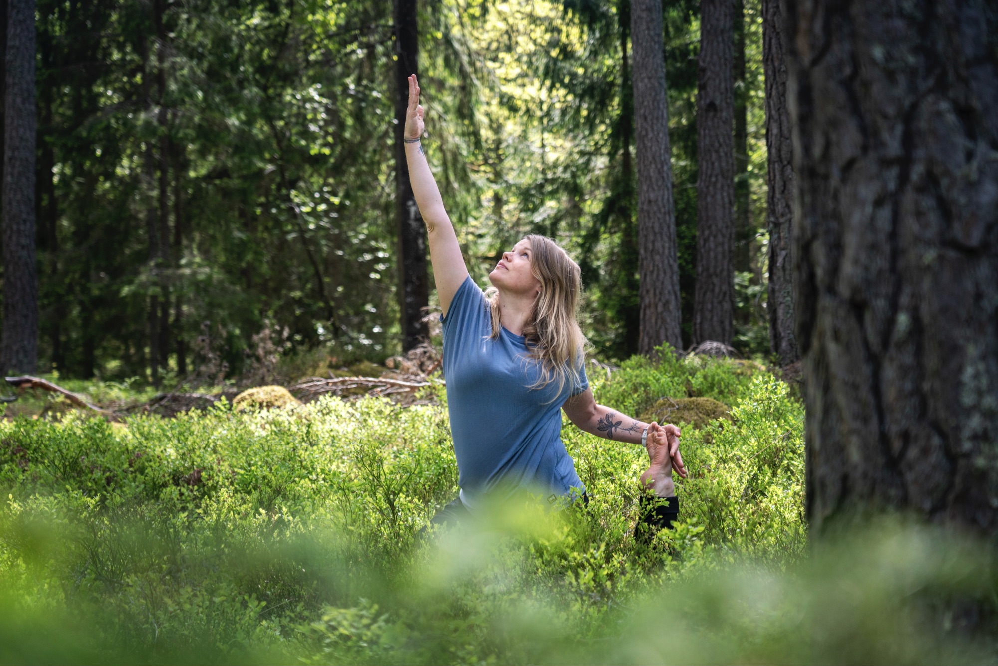 Skogsyoga - Söndagar i juni vid Skevik/Värmdö