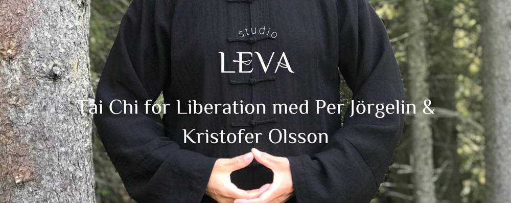 Tai Chi for Liberation med Per Jörgelin & Kristofer Olsson