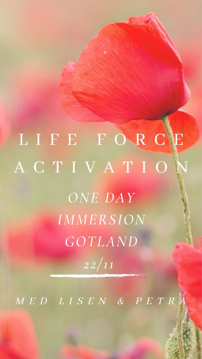 Life Force Activation Gotland ~ Heldag 🧡
