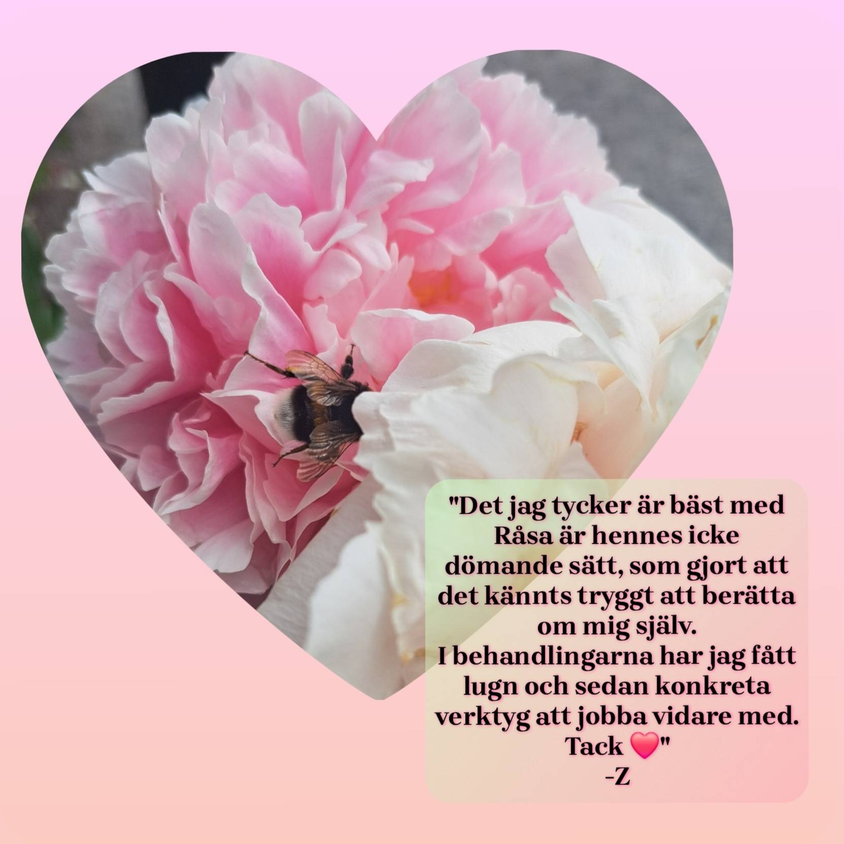 Energiterapi 5-gångersprocess övningsklient