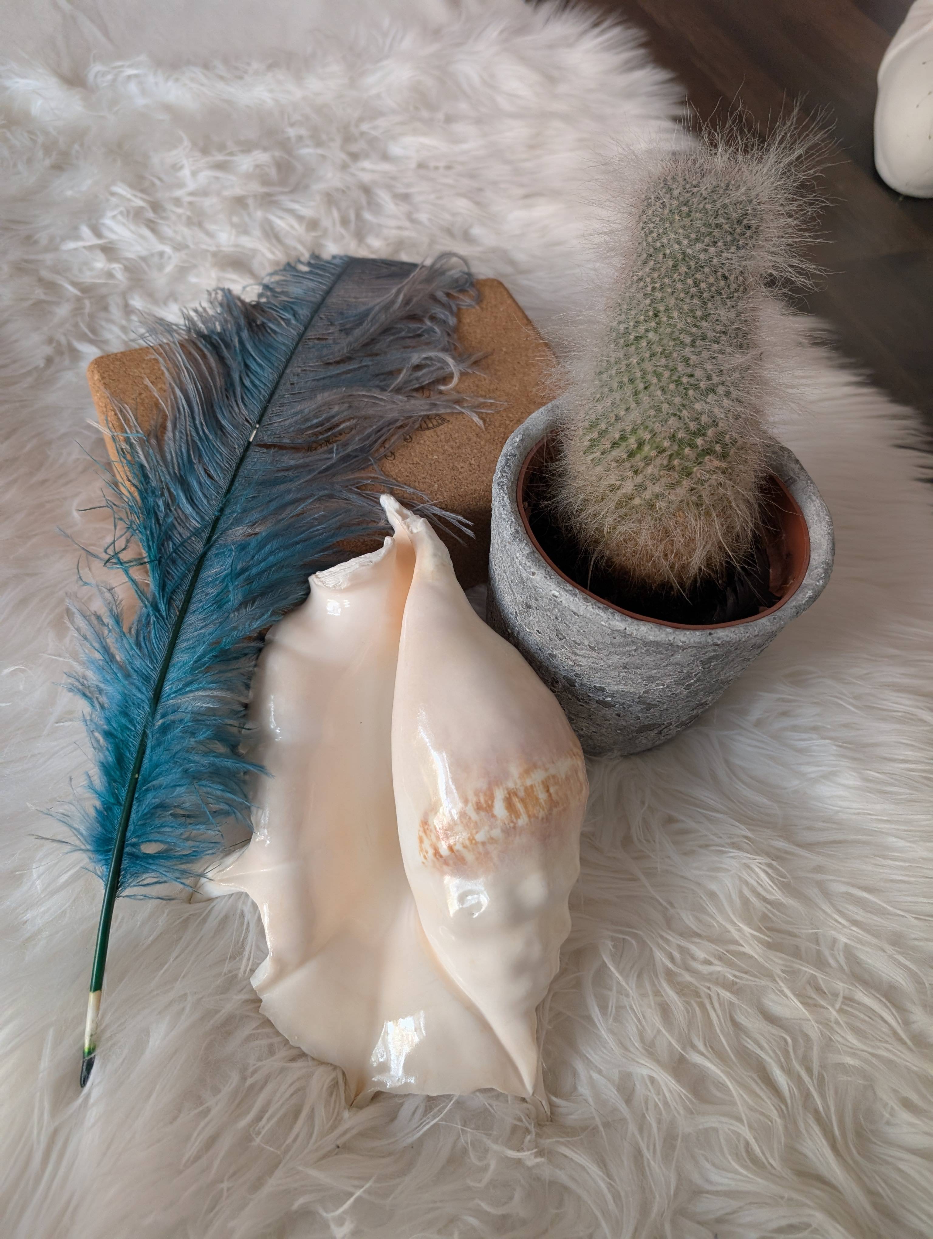 Tantra yoga och föreläsning om lust