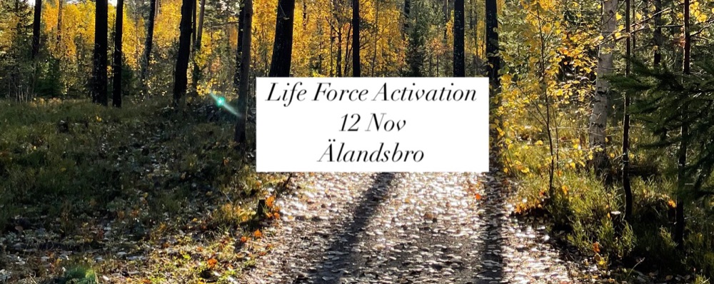 Life Force Activation