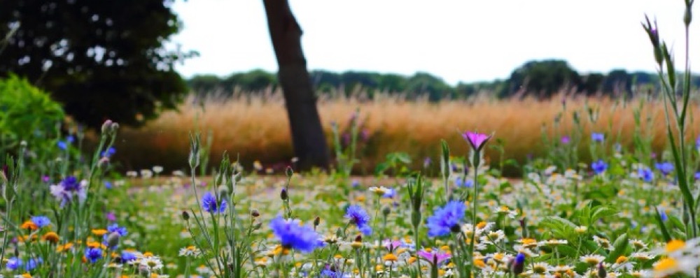 Mindfulness & Yinyoga 75 min med Nenne