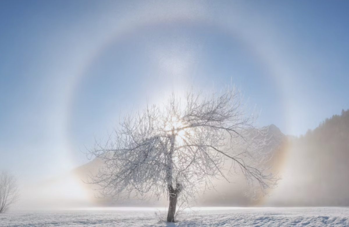 HIMLALJUS ✨️ Grupphealing – Online