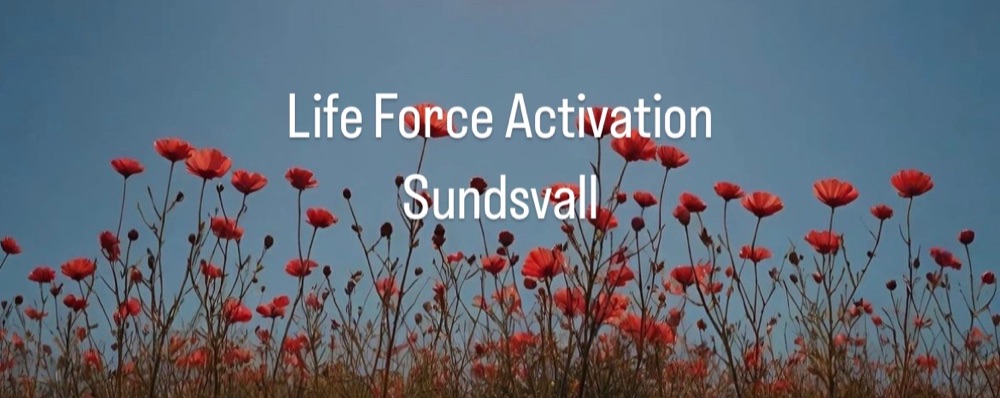 Life Force Activation Sundsvall Söndag, 8 sept