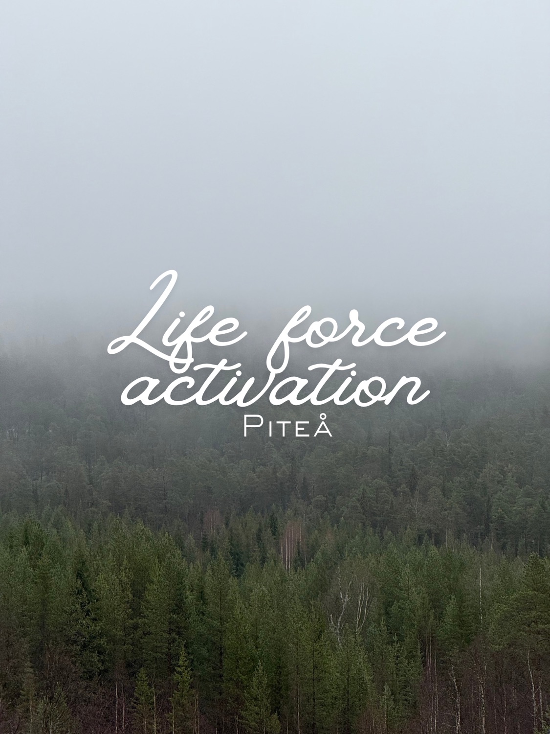 Life Force Activation - Piteå