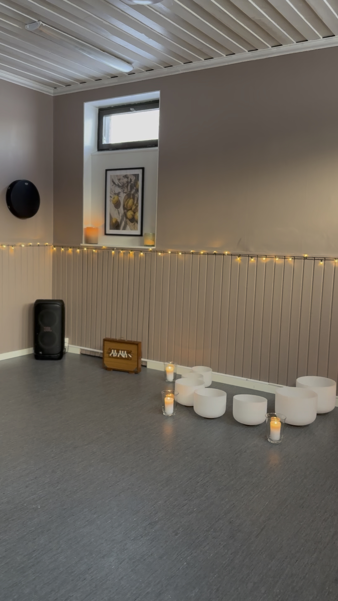 Lioness immersion - Piteå