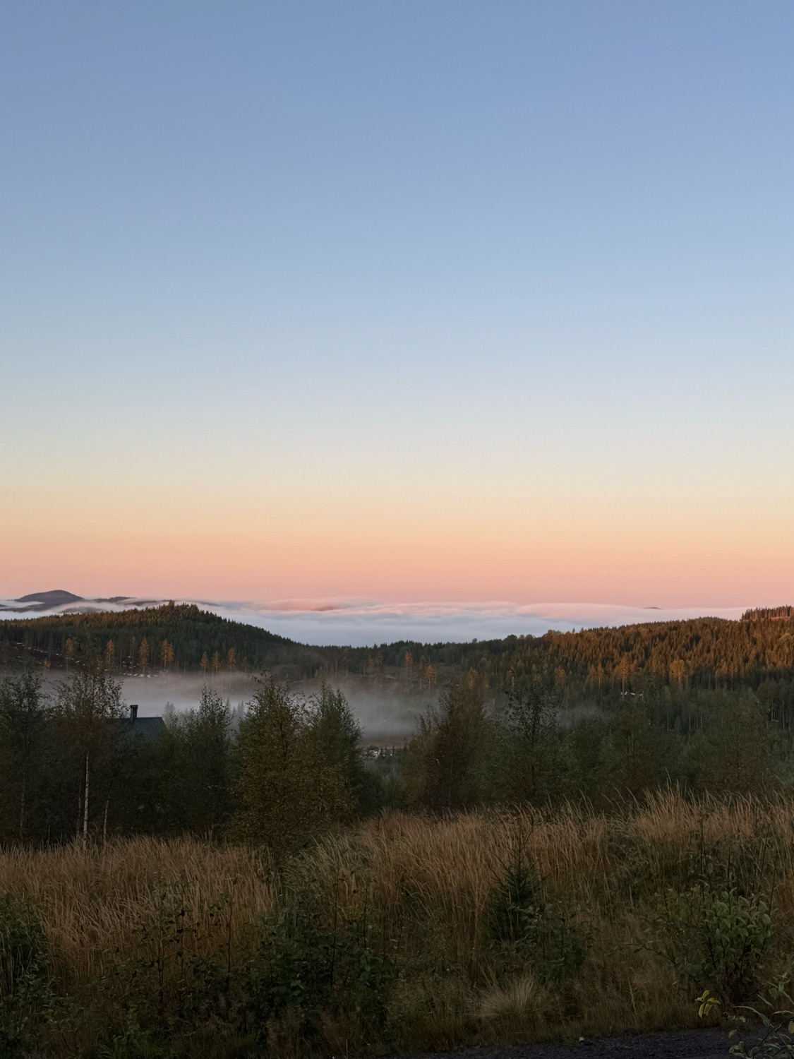 Löp/vandrings- & Yogaläger 4-7 september