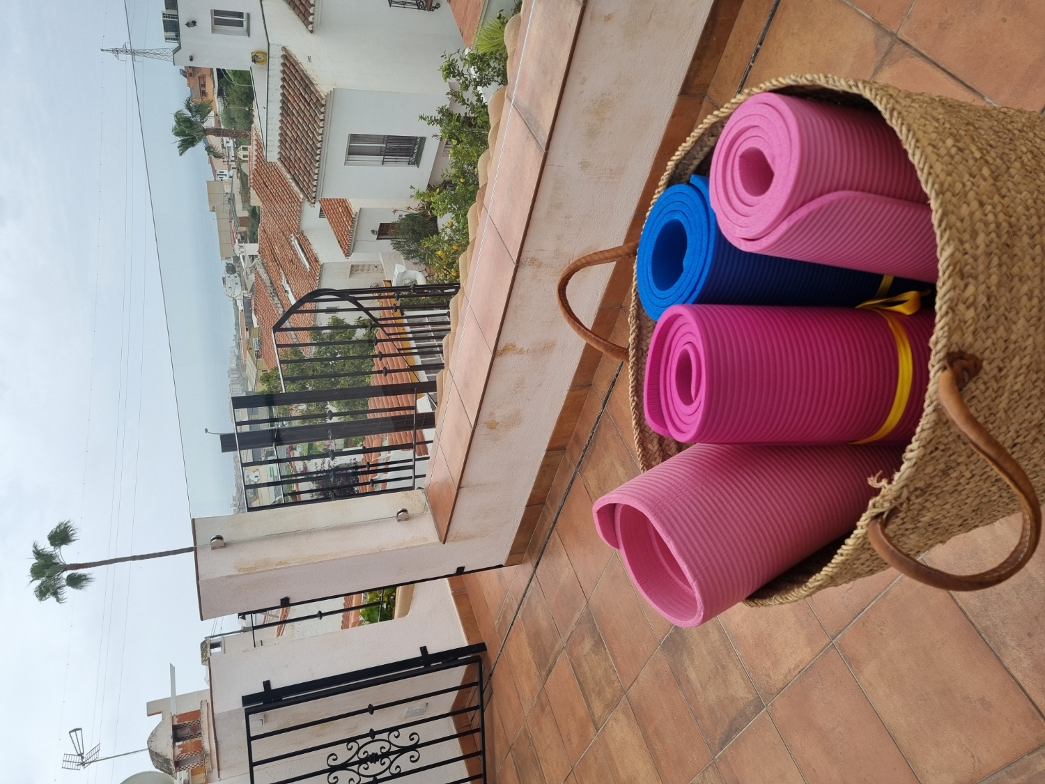 Morgonpromenad & Yoga