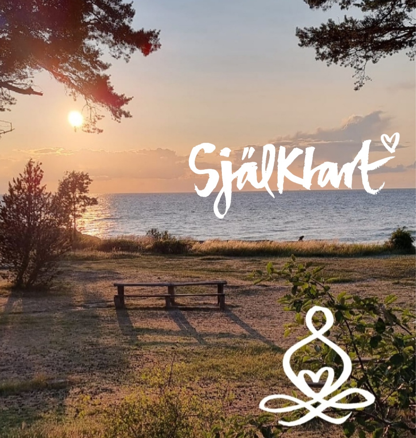 Guidad hypnosavslappning med suggestionsterapi