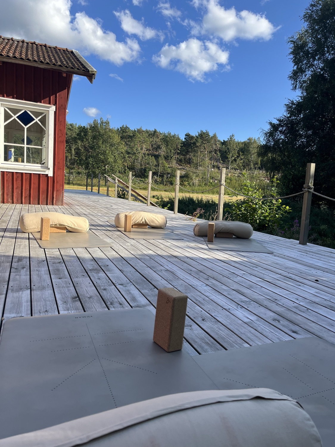 Yoga för stela män -halva priset