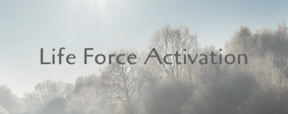 Life Force Activation