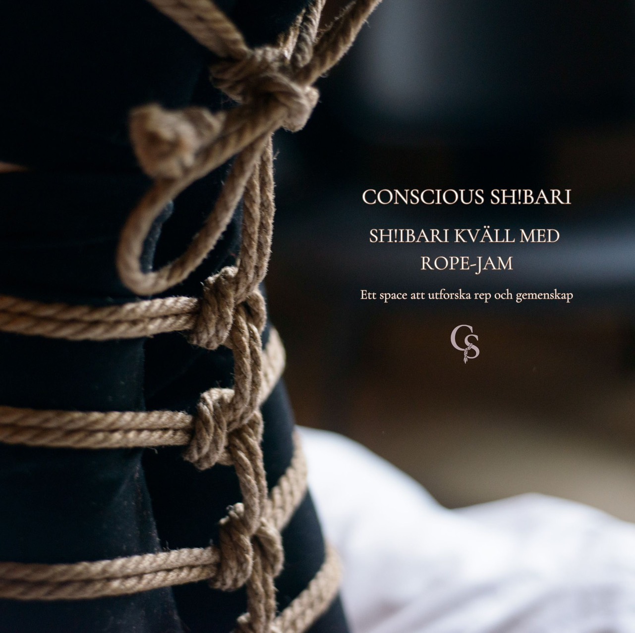 Shibari kväll 2/1 (PAR)