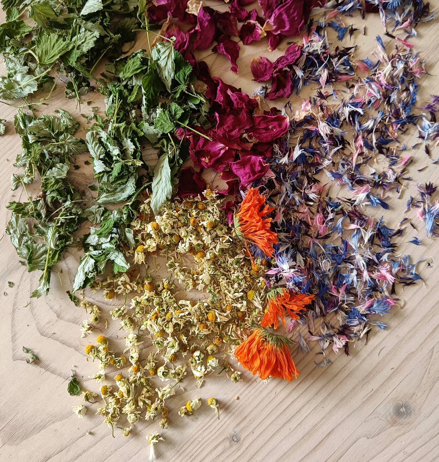 Workshop - Gör din egen teblandning