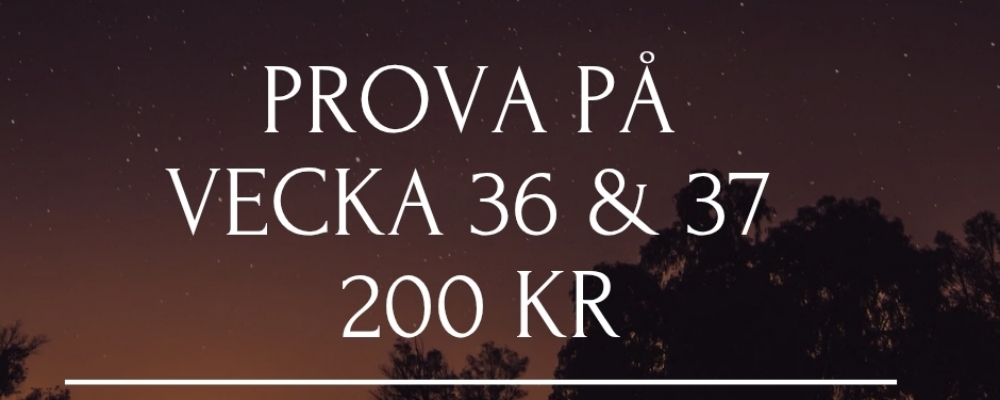 200 kr Prova på en Cirkelträning i sjöboden Gymmet Utanför
