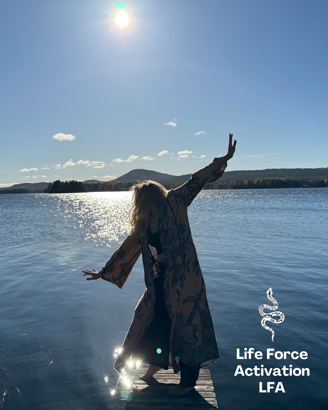 ✦ LFA - Life Force Activation med Diana von Martens ✦