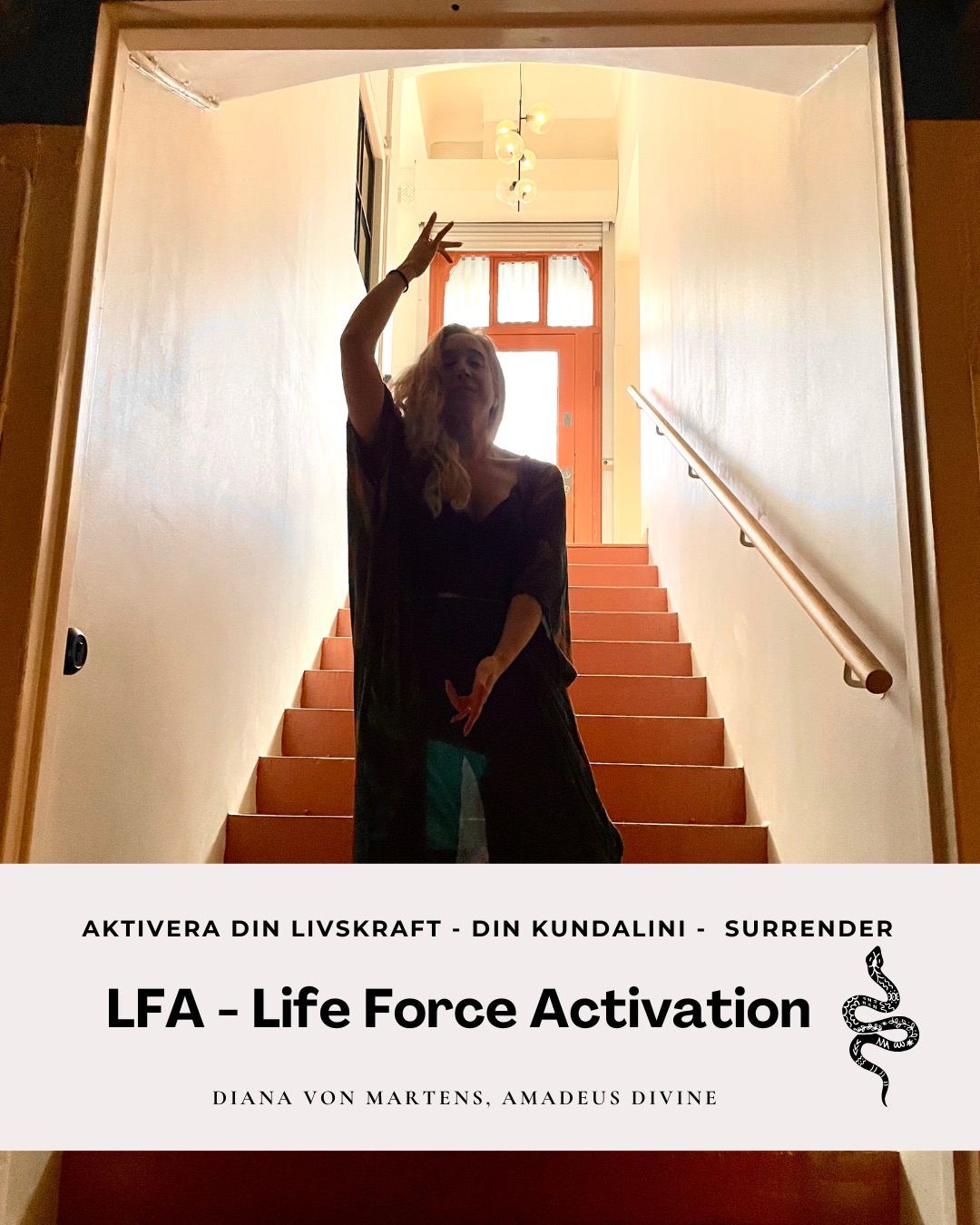 ✦ LFA - Life Force Activation med Diana von Martens ✦