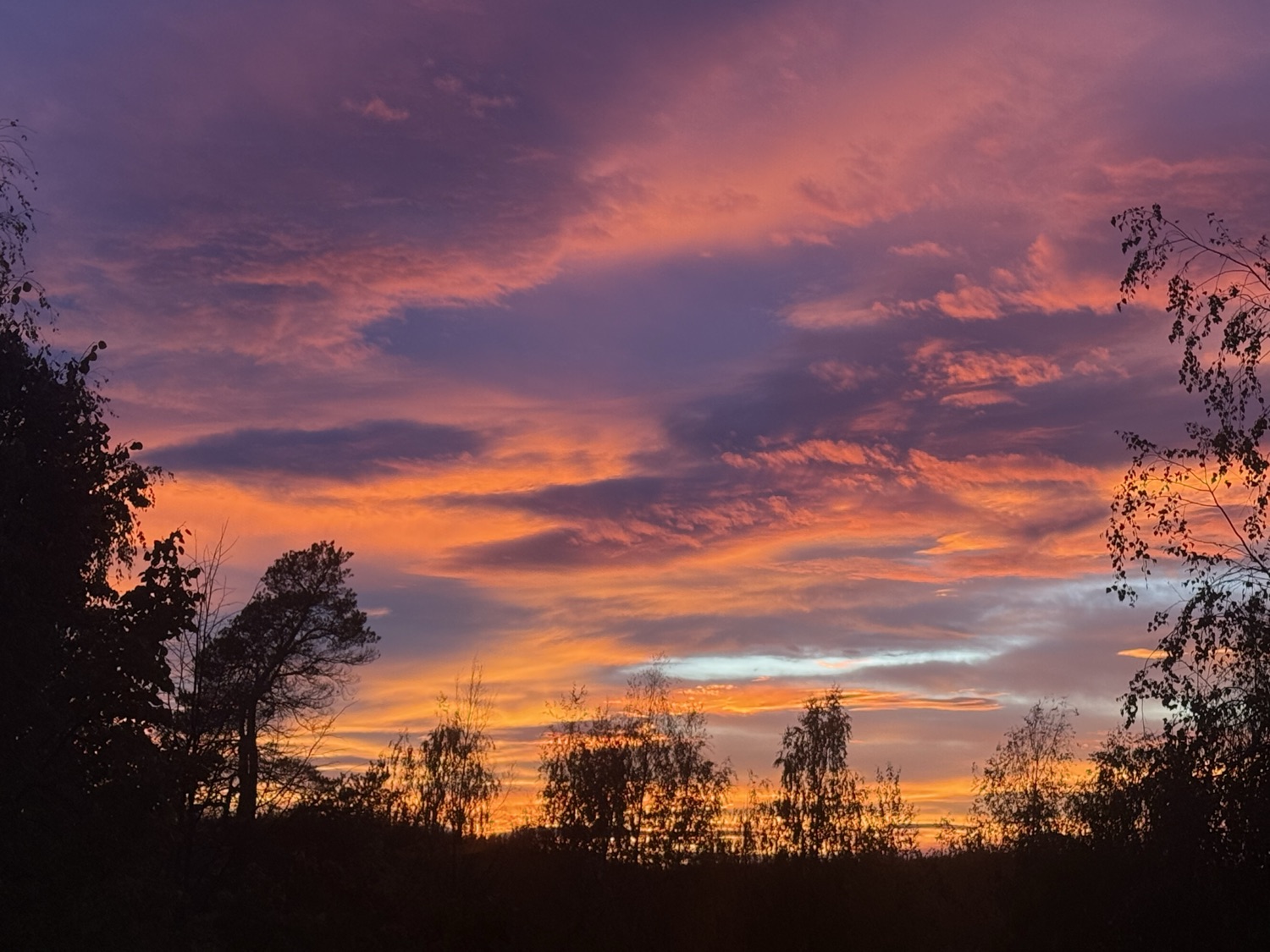 Life force activation - online