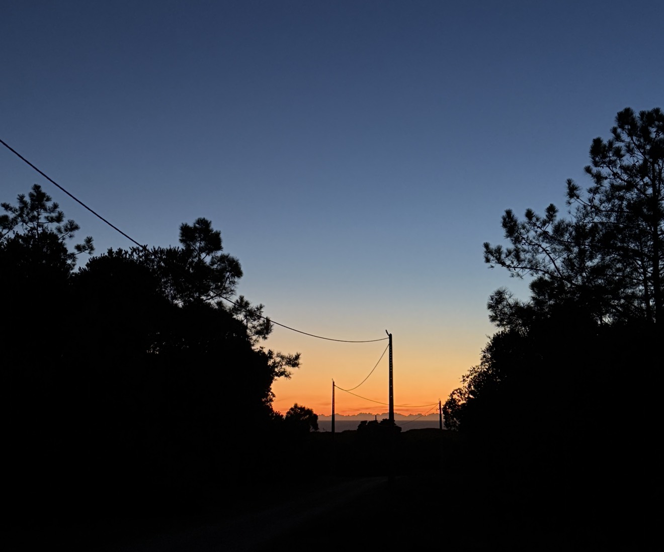 Live Your Truth Live - Early Bird