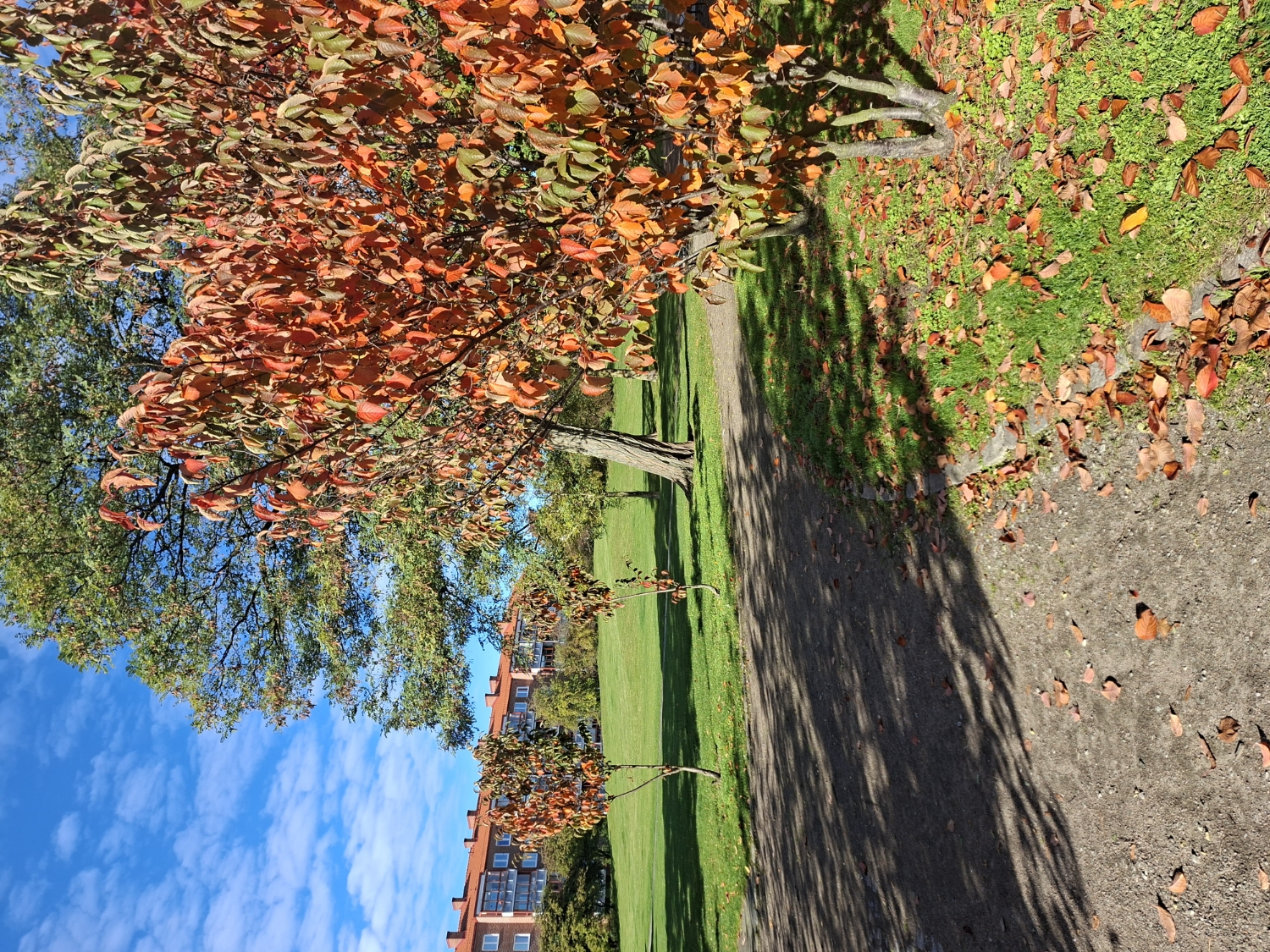 Rytmik i parken @ Gröningen, Östra Sorgenfri