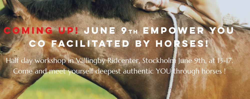 Empower You with Horses