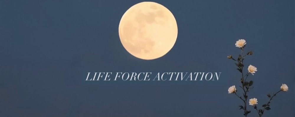 LFA, Life Force Activation (fd KAP), 12/1, 10-12