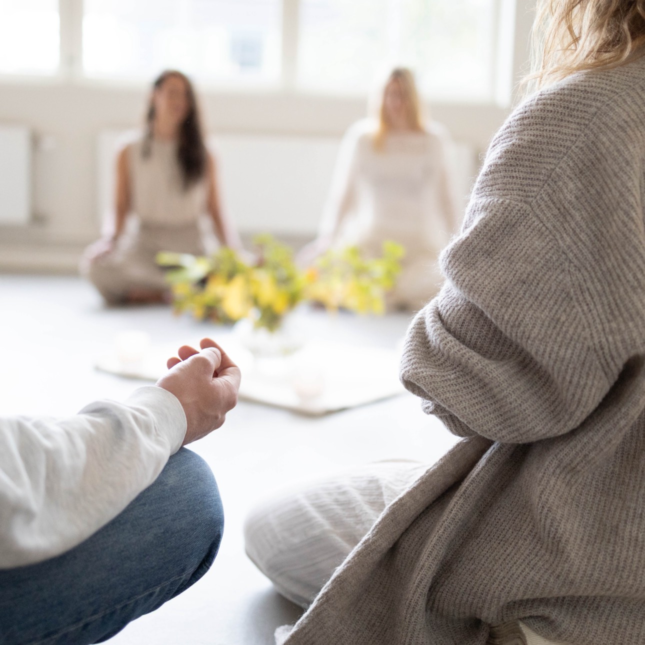 AW: wild & Free 🪶