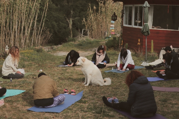 Yoga in the magical Garden 🌿