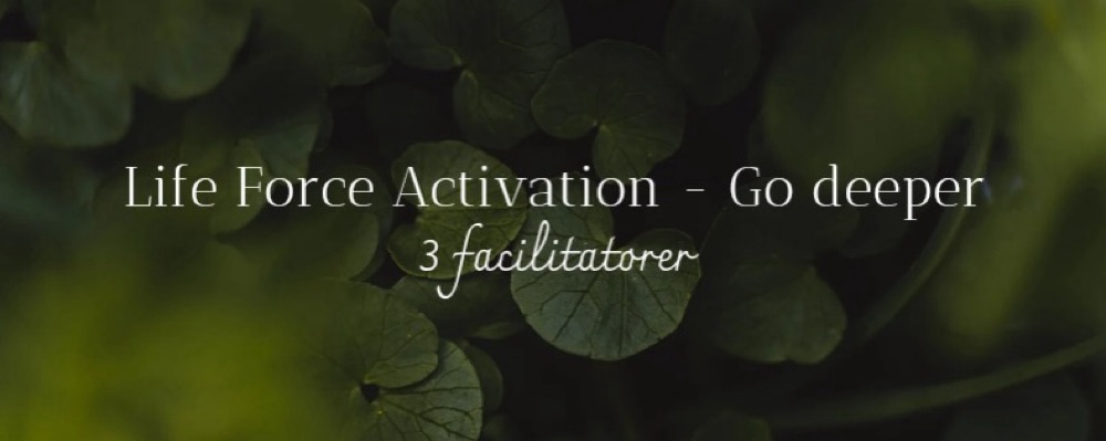 Life Force Activation - Go deeper - 3 facilitatorer