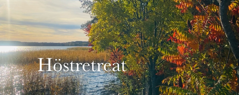 Retreat i rörelse stillhet och närande samtal
